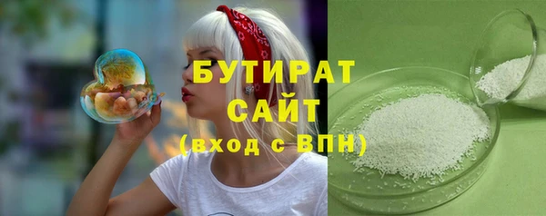 молекула духа Вяземский