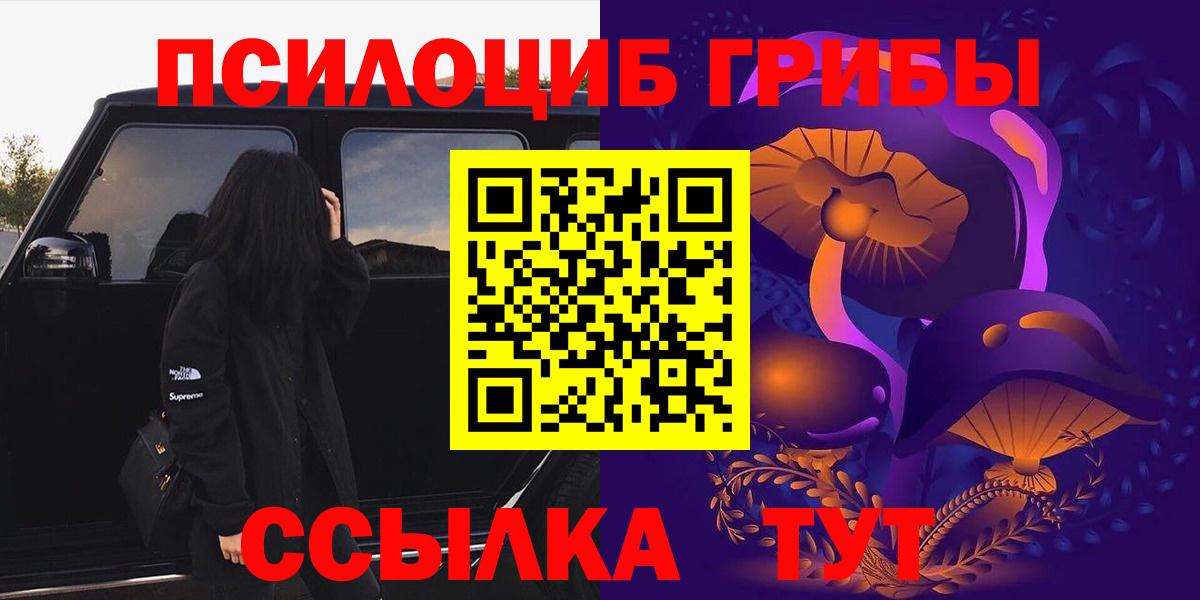 Галлюциногенные грибы Psilocybe Бугуруслан