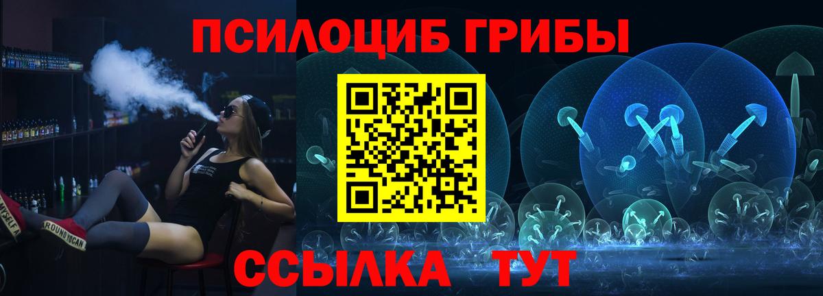 Псилоцибиновые грибы Cubensis  Бугуруслан 